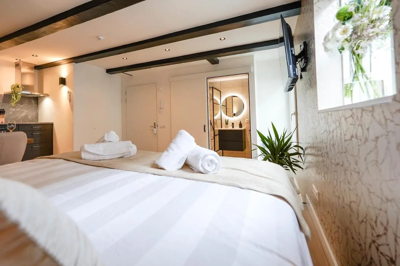 Prázdninový dům Luxury City Center Studio Delft Nizozemsko