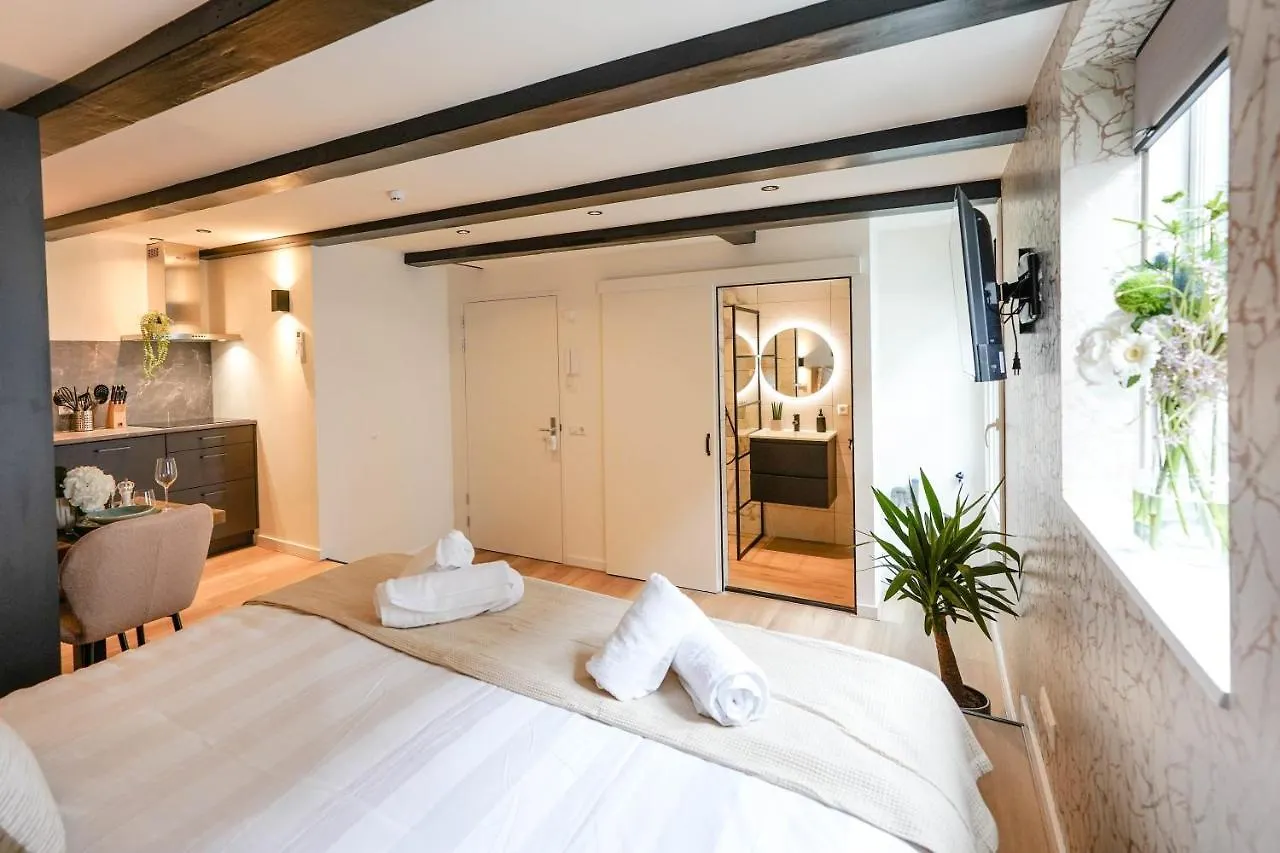 Luxury City Center Studio Delft Prázdninový dům