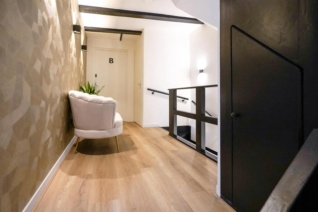 Luxury City Center Studio Delft 0*,